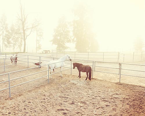 Individualni izpusti in lonžirni krog